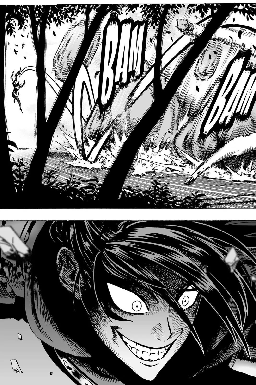 One Punch Man Chapter 13 Page 15