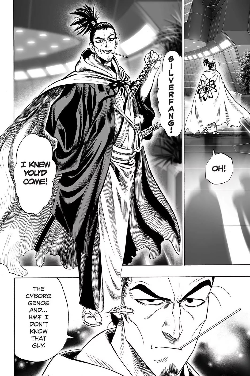 One Punch Man Chapter 30 Page 15