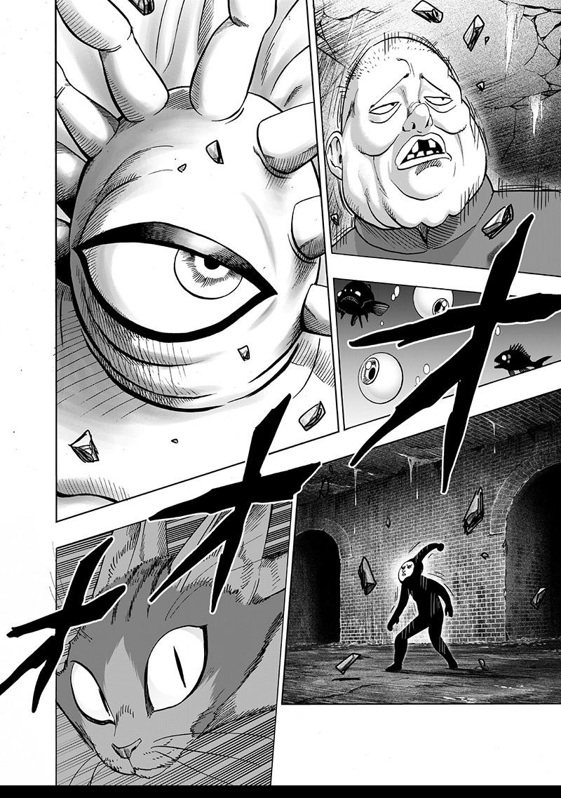 One Punch Man Chapter 106 Page 24