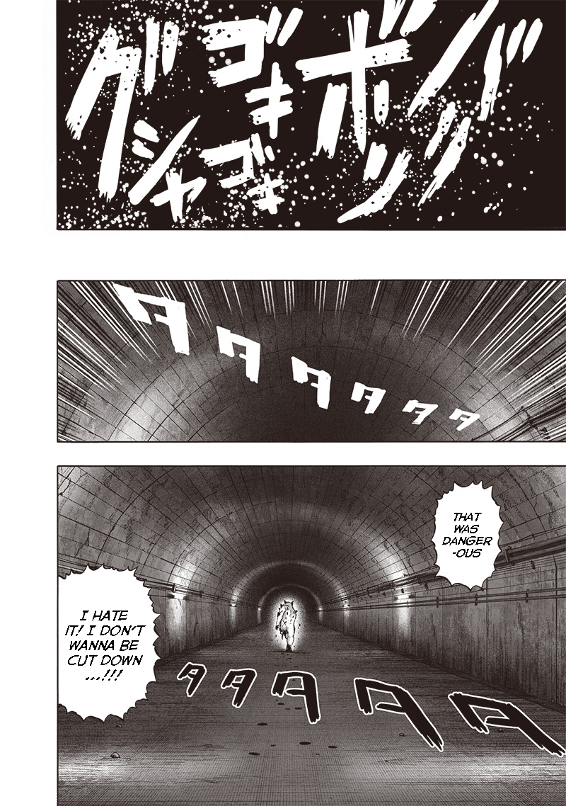 One Punch Man Chapter 114 Page 11