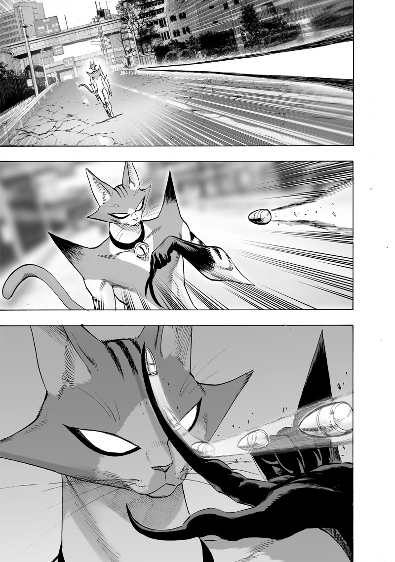 One Punch Man Chapter 116 Page 11
