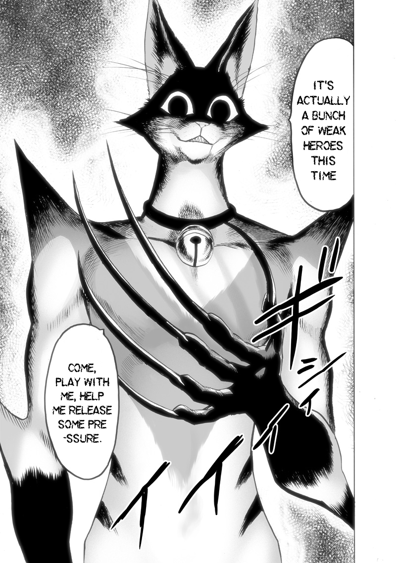One Punch Man Chapter 116 Page 13