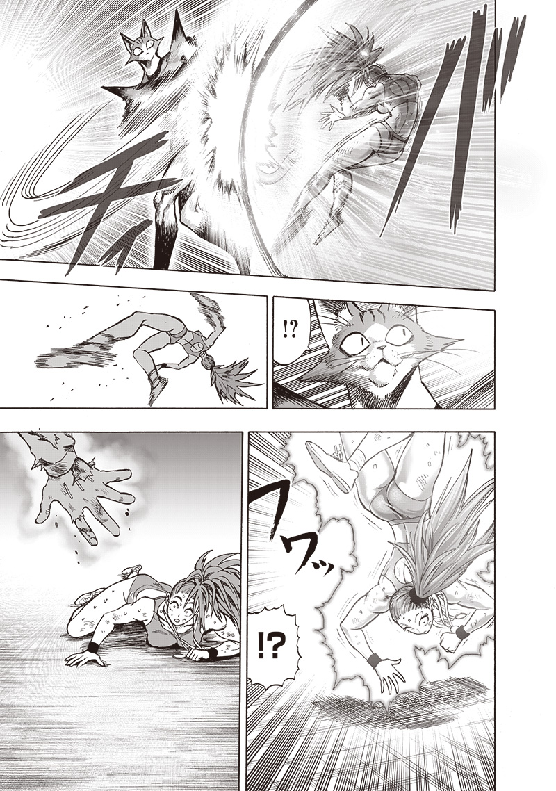 One Punch Man Chapter 117 Page 4