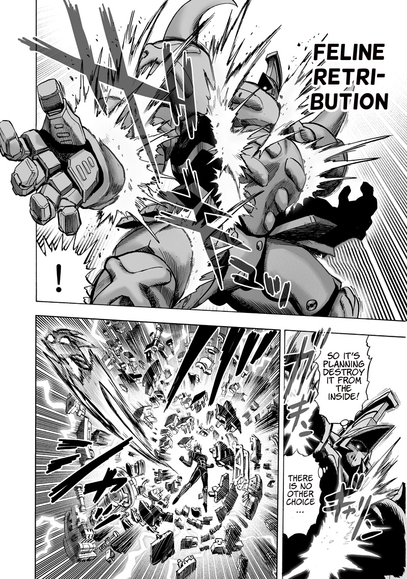 One Punch Man Chapter 118 Page 15
