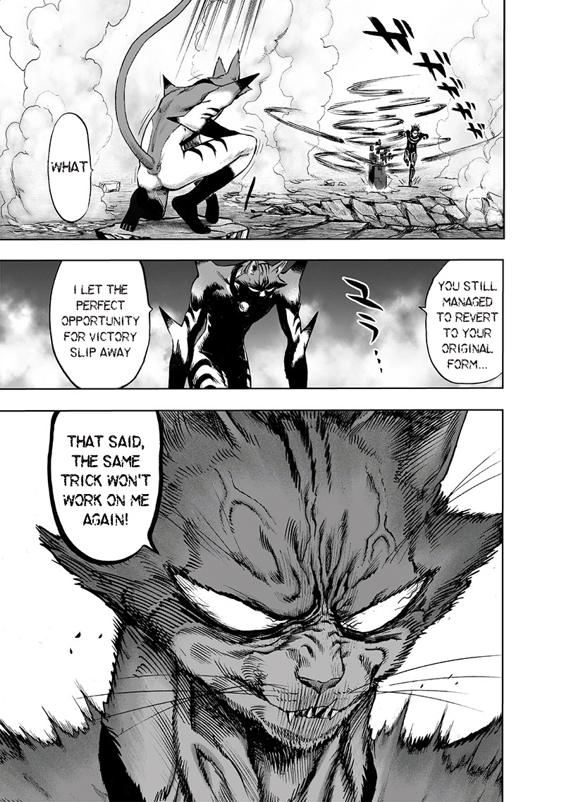 One Punch Man Chapter 118 Page 16