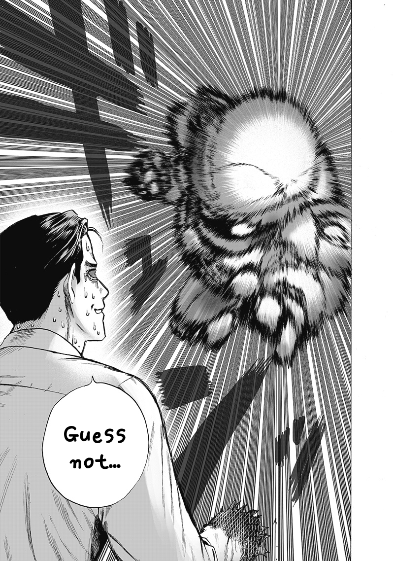 One Punch Man Chapter 119 Page 24