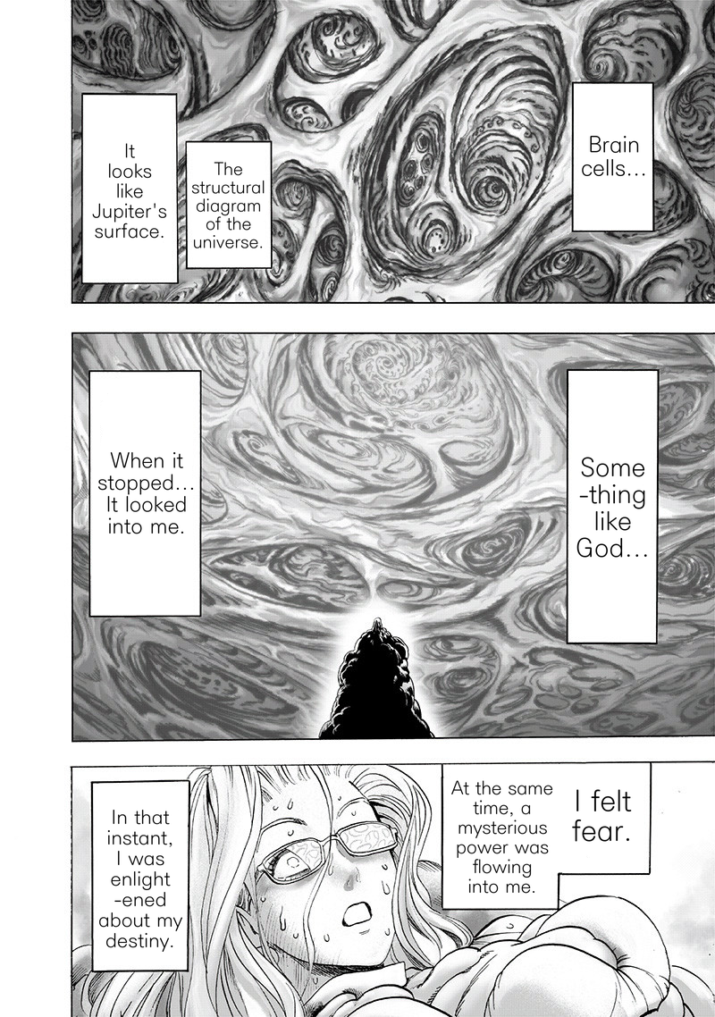 One Punch Man Chapter 132 Page 17