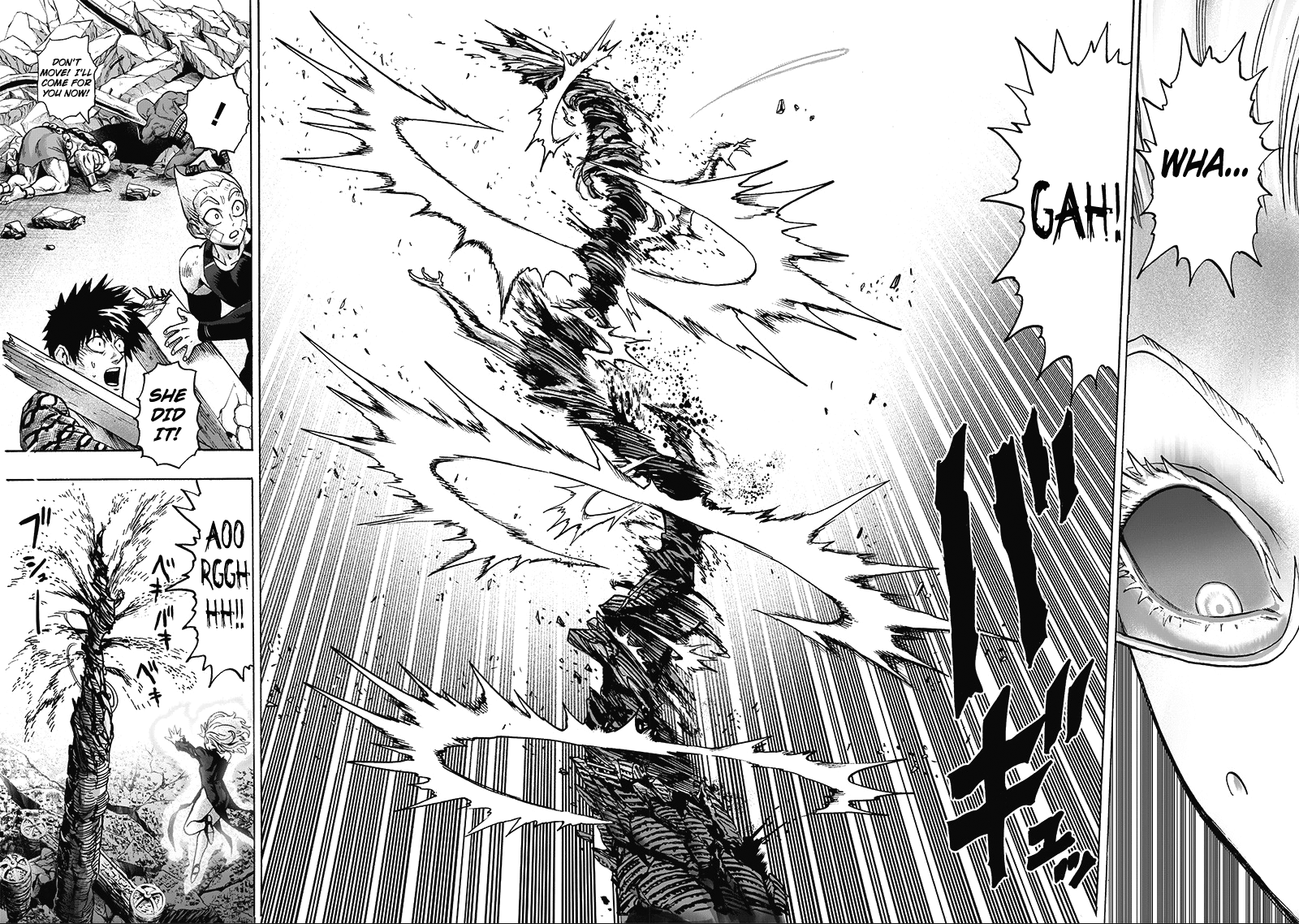 One Punch Man Chapter 133 Page 20