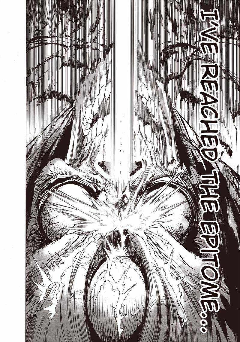 One Punch Man Chapter 159 Page 17