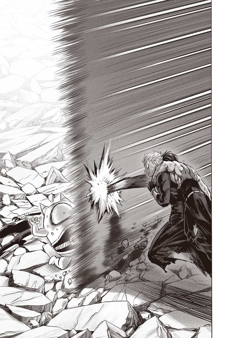 One Punch Man Chapter 160 Page 5