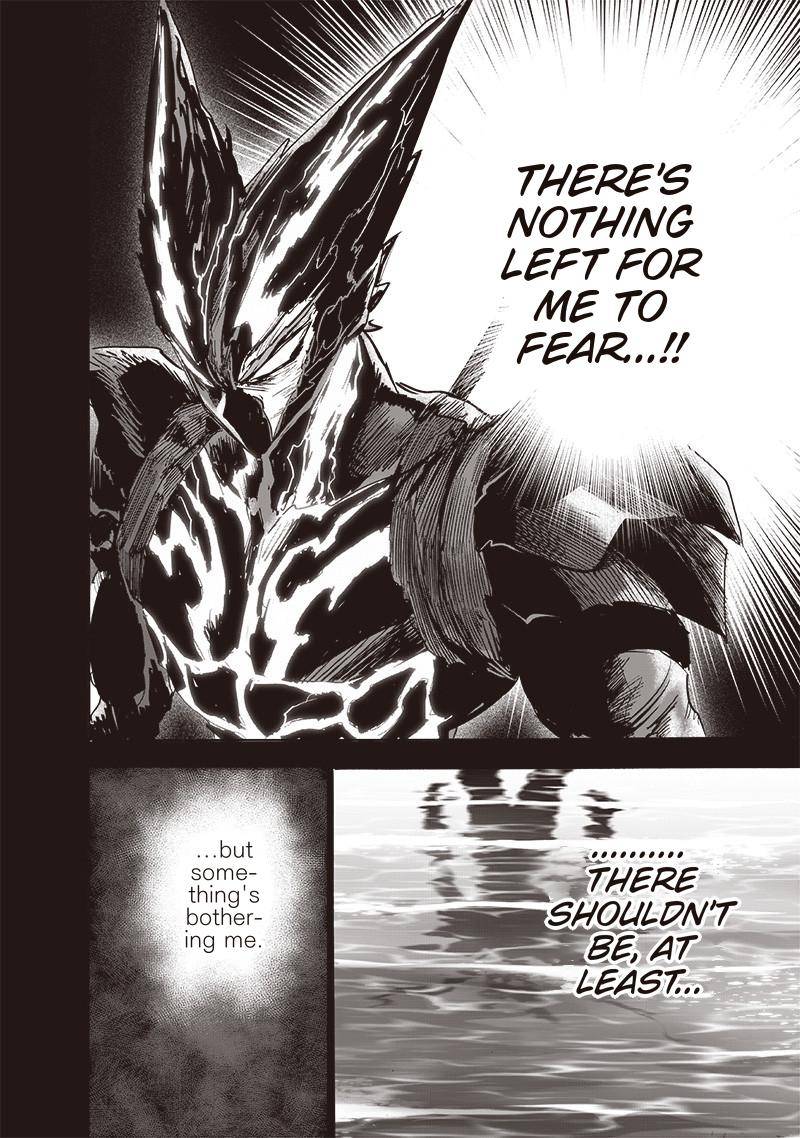 One Punch Man Chapter 161 Page 4