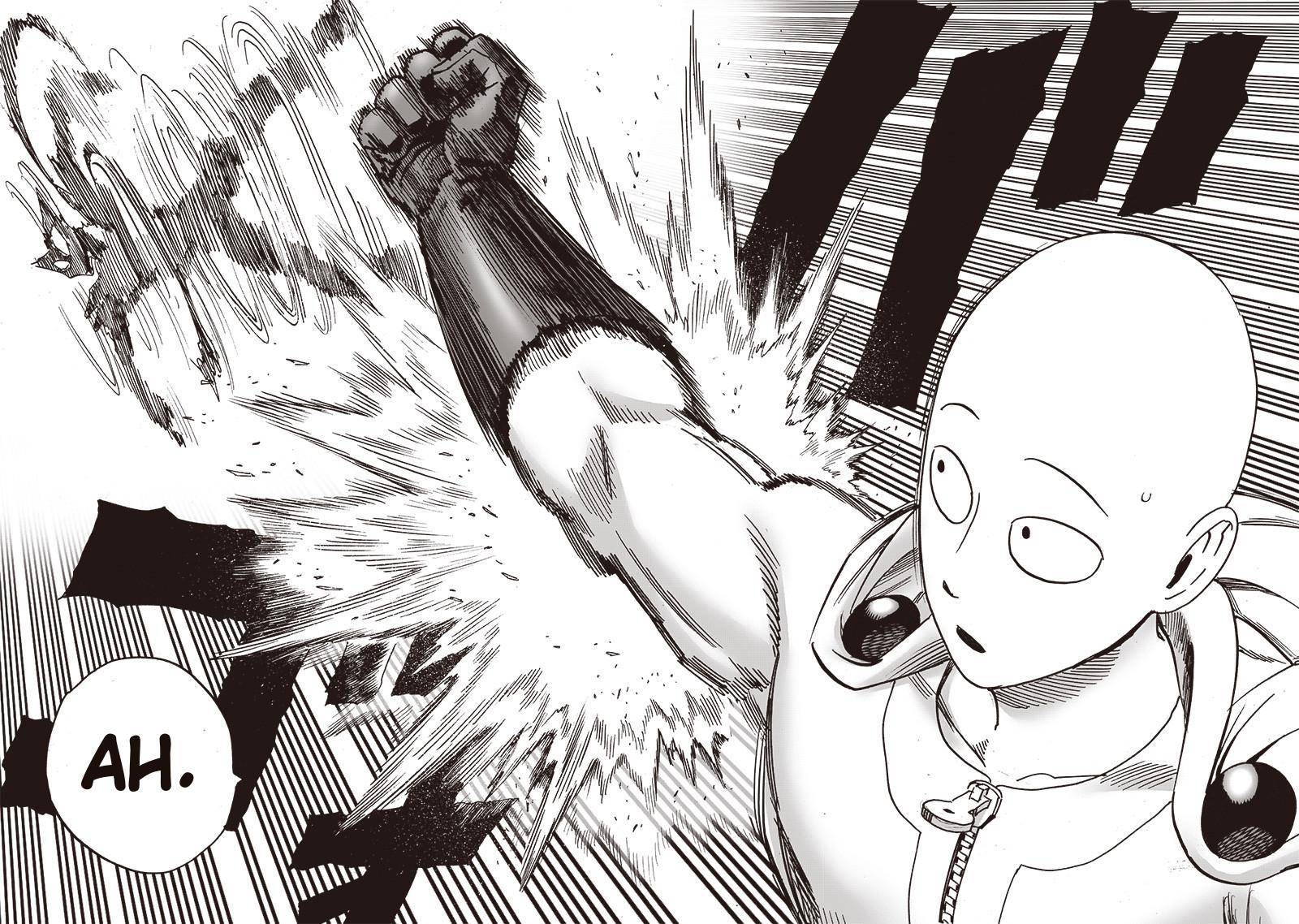 One Punch Man Chapter 161 Page 18