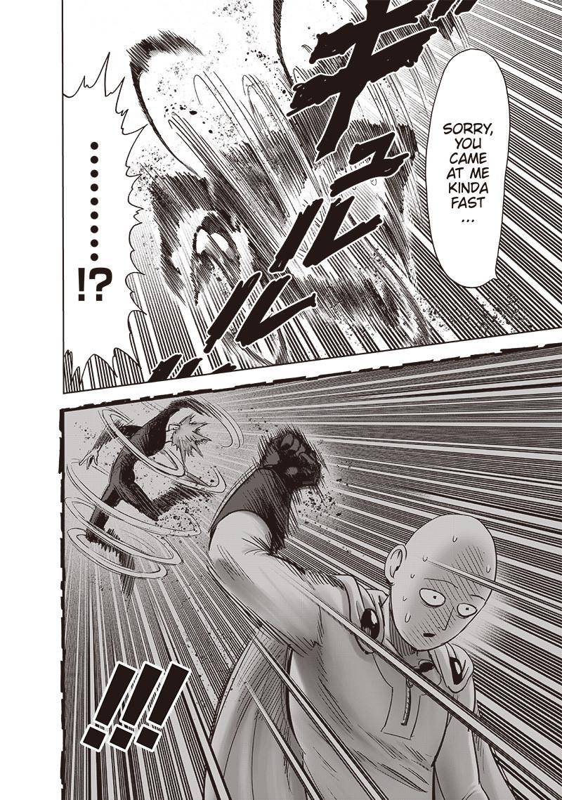One Punch Man Chapter 161 Page 19