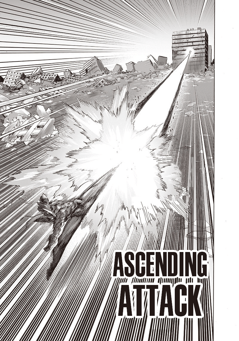 One Punch Man Chapter 163 Page 15