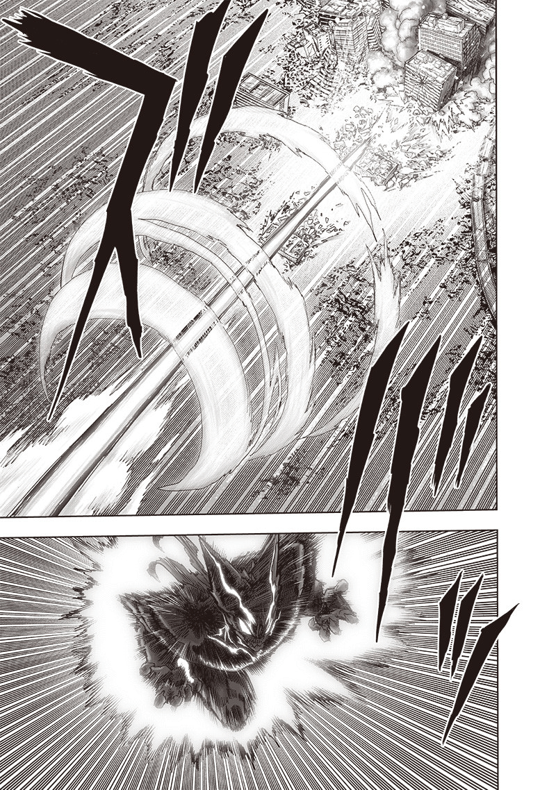 One Punch Man Chapter 163 Page 17
