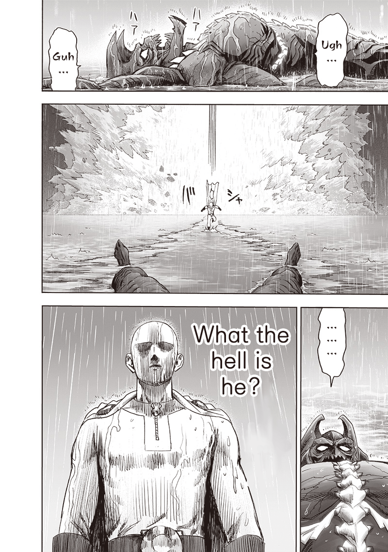 One Punch Man Chapter 164 Page 25