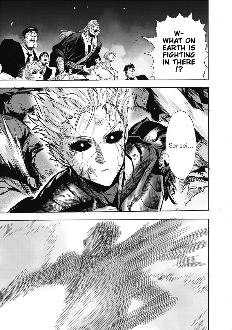 One Punch Man Chapter 165 Page 13