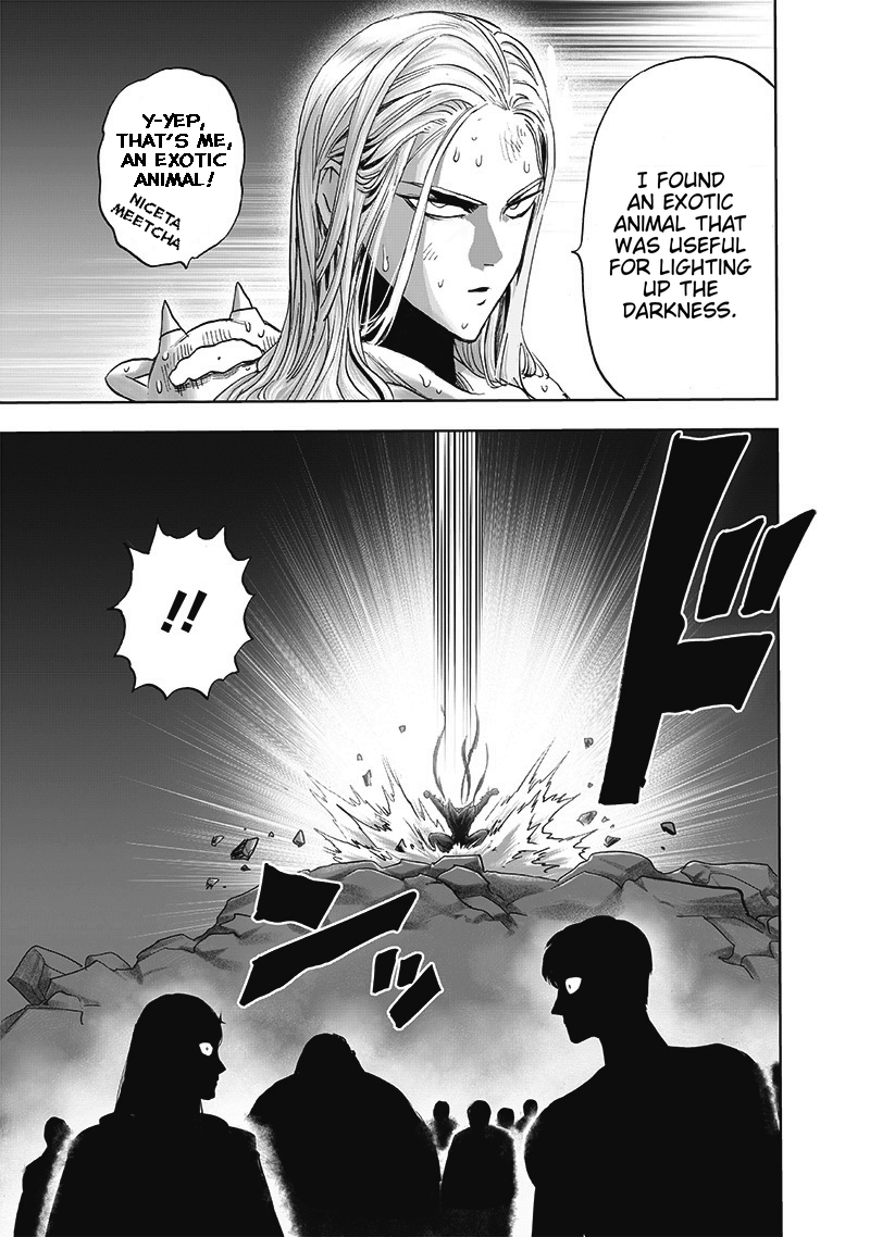 One Punch Man Chapter 165 Page 29
