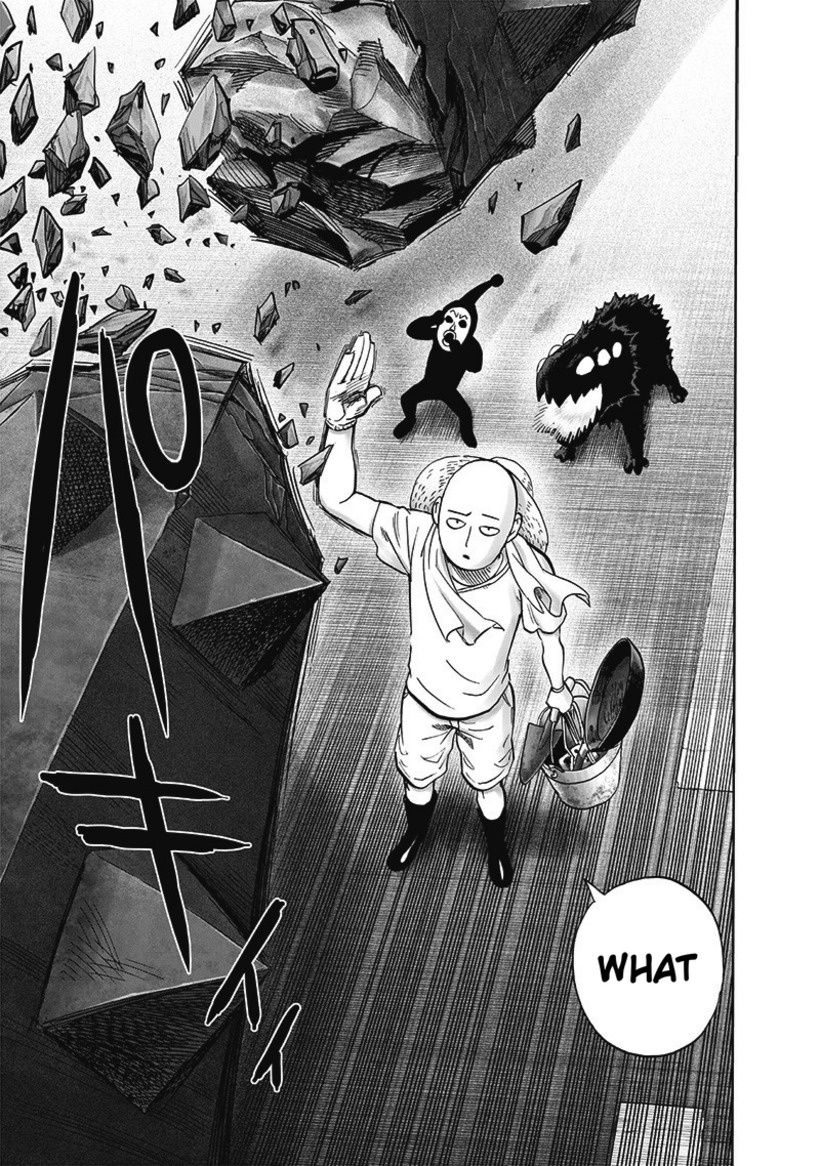 One Punch Man Chapter 172 Page 20