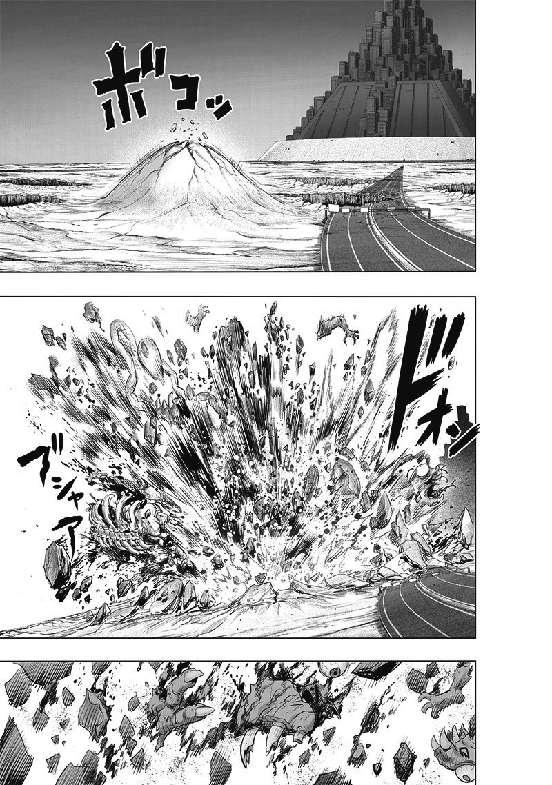 One Punch Man Chapter 183 Page 15