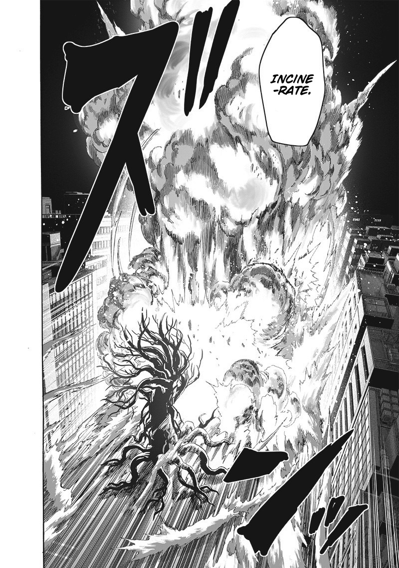One Punch Man Chapter 185 Page 25