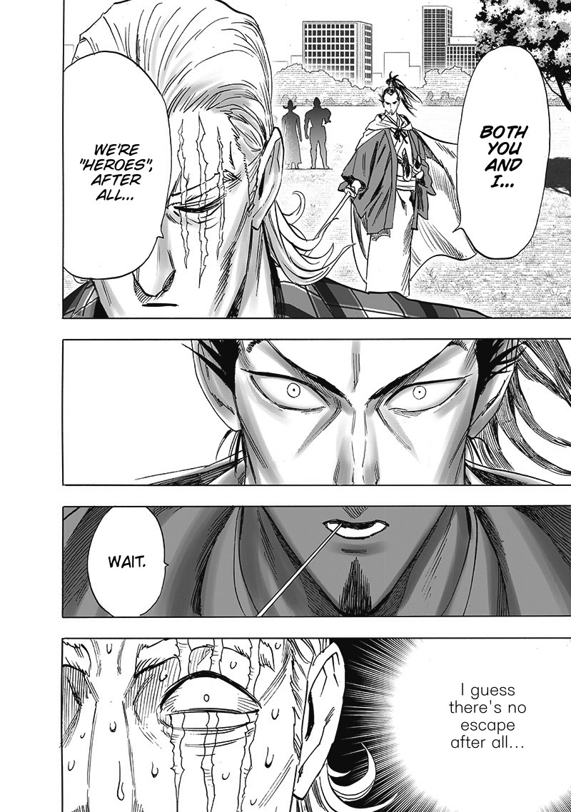 One Punch Man Chapter 189 Page 17