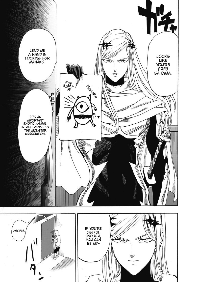 One Punch Man Chapter 193 Page 19