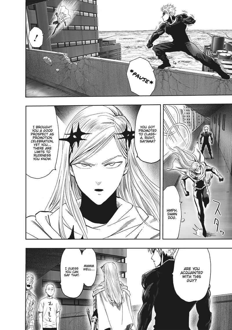 One Punch Man Chapter 193 Page 24